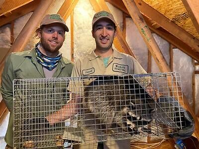 Winston-Salem pest control